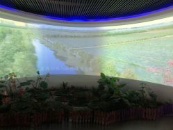 -水八仙生态园