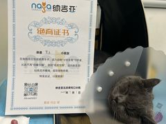 -纳吉亚猫专科动物诊疗中心(蒋宅口分院)
