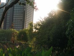 -杭州城北体育公园