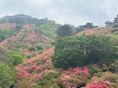 -木兰云雾山