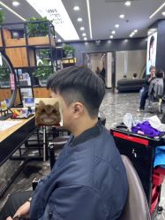 -藤野造型