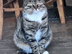 -雕刻时光·咖啡·酒吧·西餐(香山店)