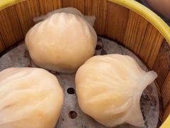 -东方早茶 海鲜•青岛菜(国信体育中心店)