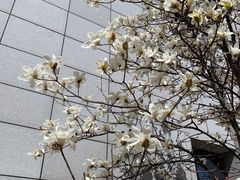 -中国中医科学院西苑医院(本部)