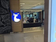 -星巴克(南通凤凰文化广场店)