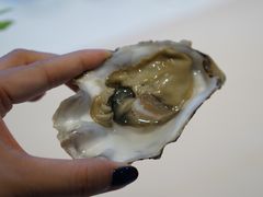 -Oyster Talks 四度蚝法餐厅