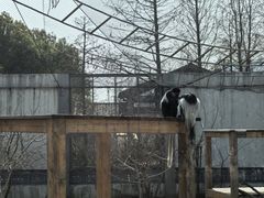 -上方山森林动物世界