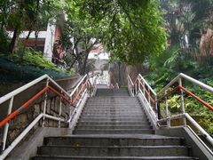 -香港大学