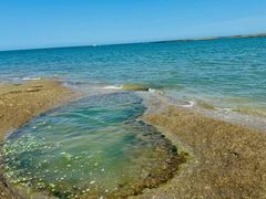 -日照灯塔风景区