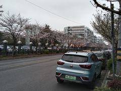 -永乐路-路侧停车场