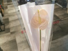 -Flower in(密渡桥店)