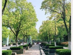 -月湖风景区