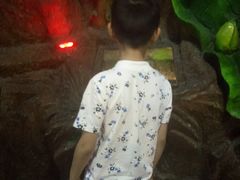 -上海大自然野生昆虫馆(东方明珠·爬宠昆虫探索中心)