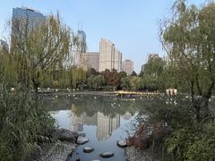 -新虹桥中心花园