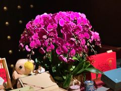 -万豪中餐厅·粤菜·北京粤财JW万豪酒店