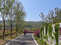 -大连铭湖国际观光牧场
