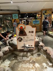 -造物庄园 萌宠纪(苏州湾歌林公园店)