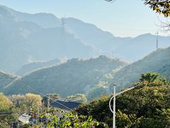 -大岭沟猕猴桃谷风景区