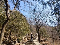 -北京十三陵国家森林公园蟒山景区