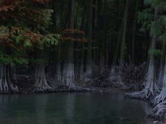 -丹山赤水风景名胜区