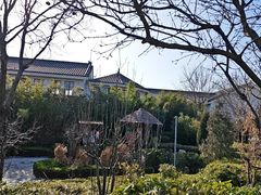 -夏津德百度假村温泉