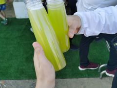 -光明小镇欢乐田园
