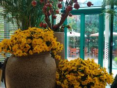 -金海湾自助餐厅(金陵饭店)