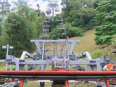 -圣淘沙天际线斜坡滑车
