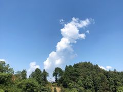 -南山植物园