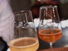 -毛辣果·酸(OHA复兴西路店)