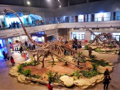 -自贡恐龙博物馆