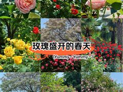-关你鬼室大型密室逃脱(佛山创意园店)