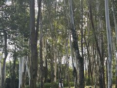 -福建鲤鱼洲酒店