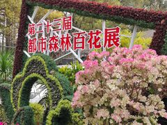 -上海共青森林公园