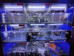 -石锅苗苗鱼(武汉首店)