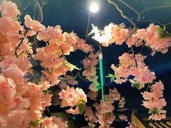 -松子料理(亮马桥店)