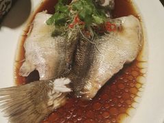 清蒸鲈鱼-蜀宴小调·精致家常菜(科华店)