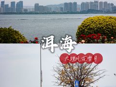 -大理洱海