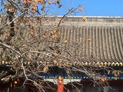 -北京石刻艺术博物馆(五塔寺)
