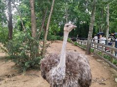 -大连森林动物园