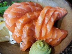 -春草居酒屋·晴子の店