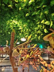 -酷嗒动物文化乐园(cutezoo西溪乐天城店)