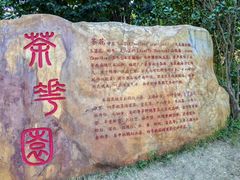 -广州市帽峰山景区