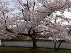 -醍醐寺