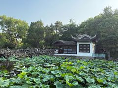 -无锡蠡湖国家湿地公园-蠡园
