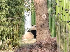 -武汉动物园