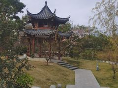 -四海公园(南山区)