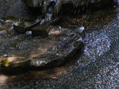 -成都市活水公园