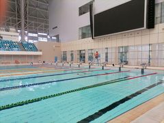 -广西体育中心-游泳馆