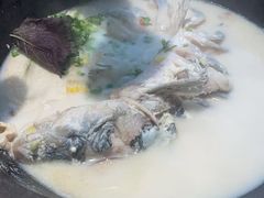 -鲜潭蒸汽石锅鱼(五道口购物中心店)